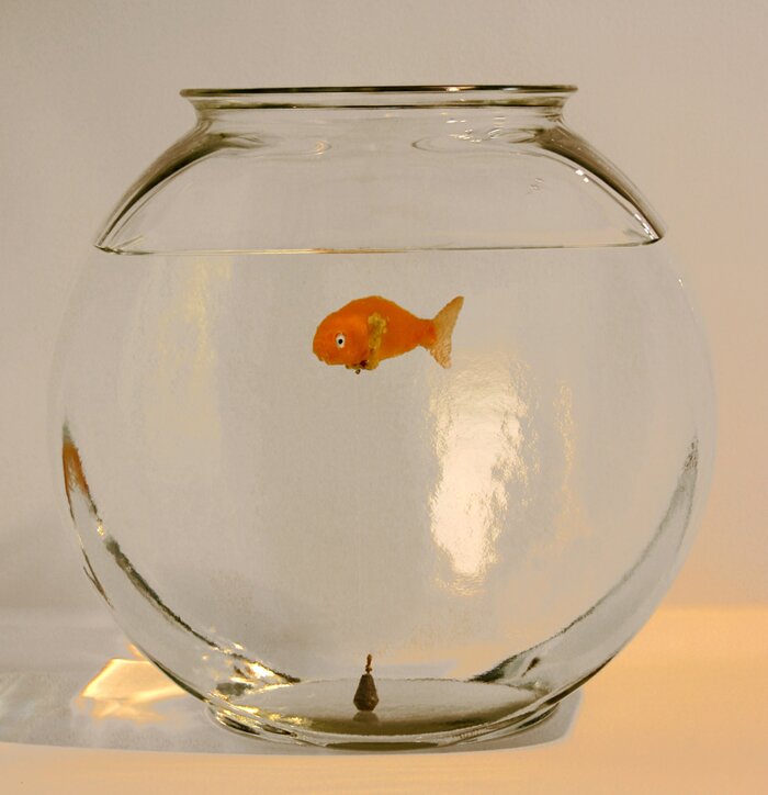 goldfish bowl
